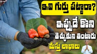 Cashew | ఇవి పిడికెడు తింటే అంతులేని బలం | Dr Manthena Satyanarayana Raju Videos | HEALTH MANTRA