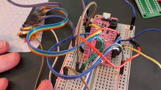 Celebrity Happy Friday - It's a Floppy Featherwing Friend Net Worth