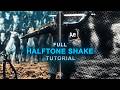 halftone shake tutorial on after effects