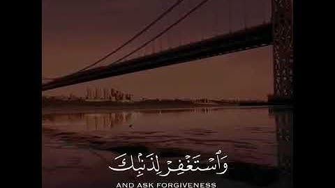 #القران_الكريم | بصوت القارئ #ياسر_الدوسري | حالات واتس اب دينيه♥♥.