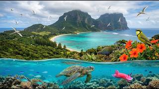 [Forgotten Paradise] Lord Howe Island: 8K Ultra-Photorealistic Untouched Wilderness