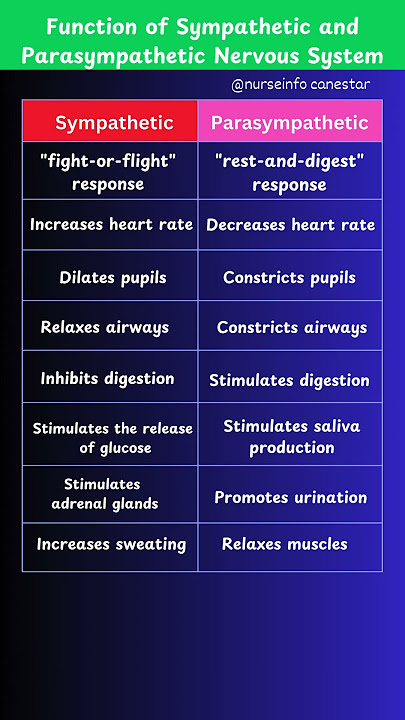 Functions of Sympathetic and Parasympathetic Nervous System #nervoussystem