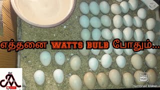 Bulb setup for incubator | tamil  | jayam ideas | jayam pets | minpin puppy for sale screenshot 5