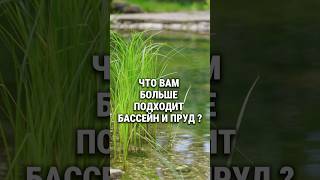 Что выбрать бассейн или пруд? #доммечты #бассейн #пруд #загородныйдом #загороднаяжизнь