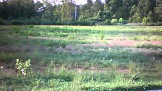 AeroQuad Practicing at Timber Ridge Elementary School part 2