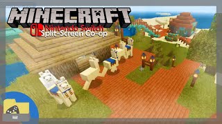Minecraft (NSW, Co-op) | Archive 4