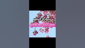 بصوت الشيخ سعد الغامدي سوره النصر