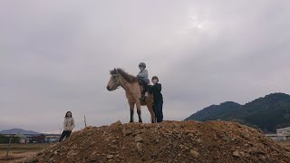 合戦馬と子供達の乗馬の練習 合戦馬と子供達の乗馬の練習