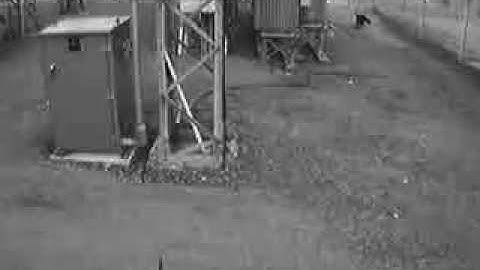 Texana Video Verified Alarms