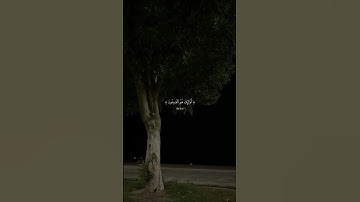 ﴿وَلَا تَكُونُواْ كَالذِينَ نَسُواْ اللَّهَ فَأَنساهُم أَنفُسَهُم﴾ سورة الحشر  #قرآن #قران_كريم