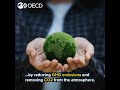 Agriculture and climate change. What's the issue, and what can policymakers do?