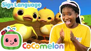 ten little duckies cocomelon asl sign language babies