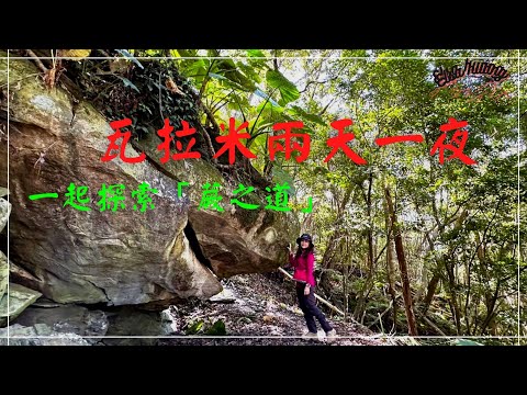 登山|瓦拉米步道兩天一夜健行/童話小屋住一晚/走入歷史的軌跡/魔幻森林~蕨之路