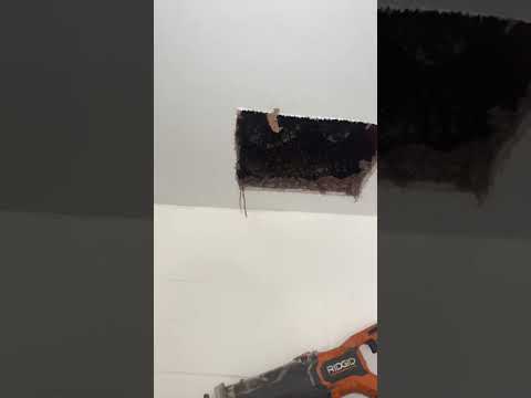 Keith’s Bee Service video still — Garage Ceiling Honeybees!