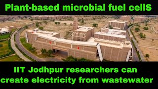 Plant-based microbial fuel cells: IIT Jodhpur researchers can create electricity from wastewater