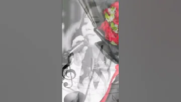 بقية نغمه شيماء الشايب 