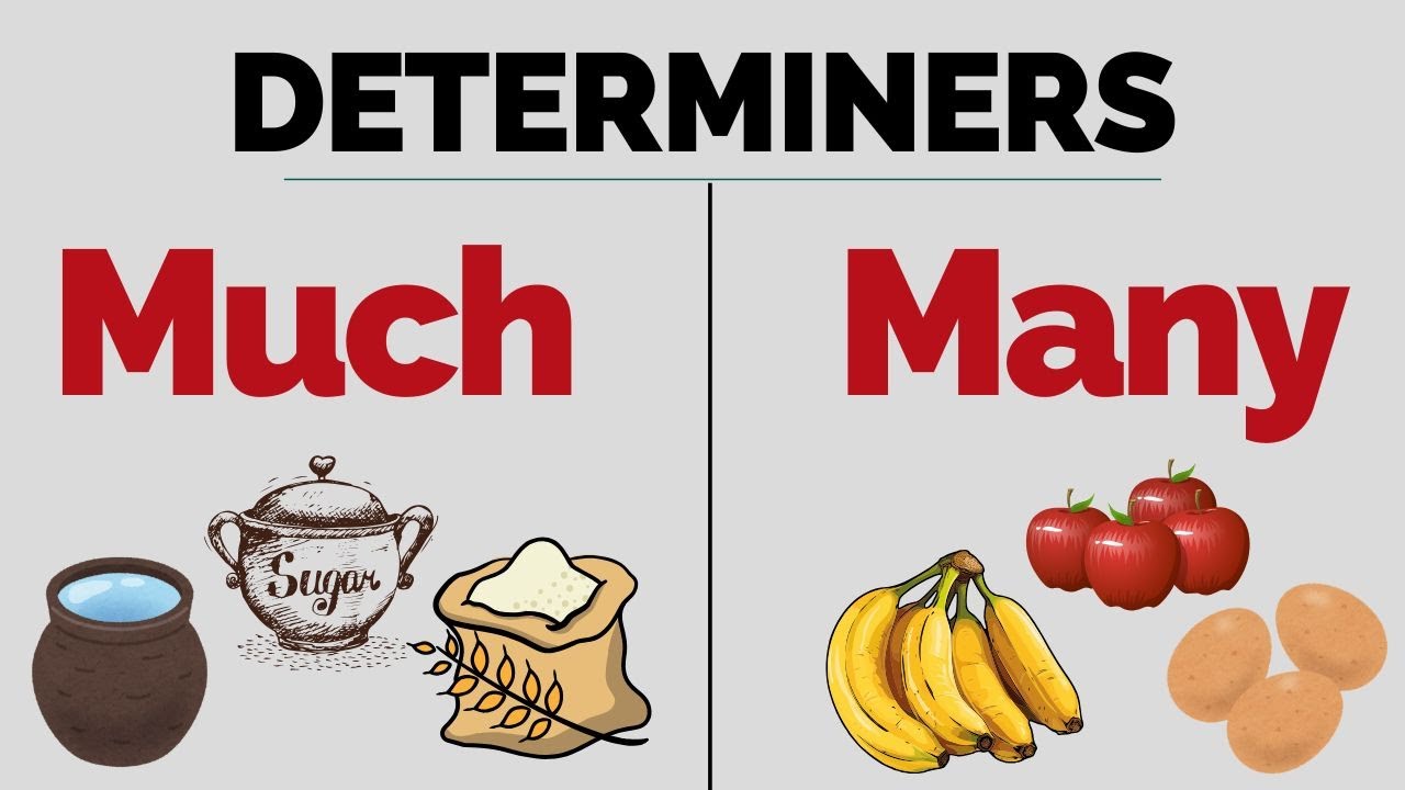 Научитесь использовать Much & Many