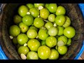 Засолка зеленых помидоров в старой бочке из под вина
