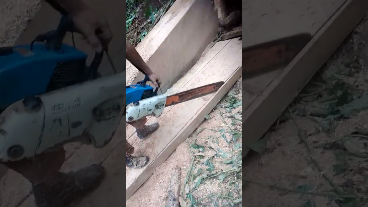 Daley working for try so this is the forst video last came to another  video also