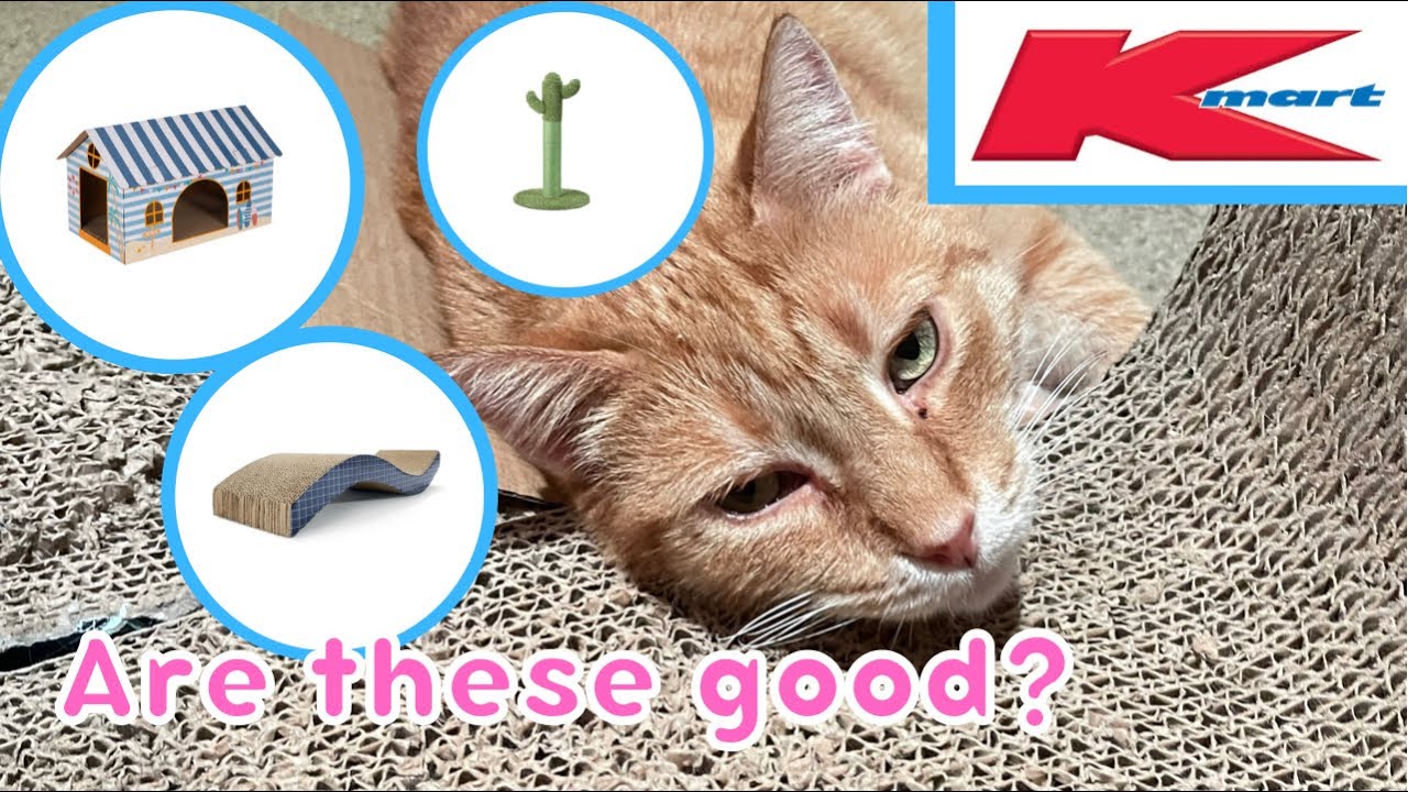 kmart cat scratch pad
