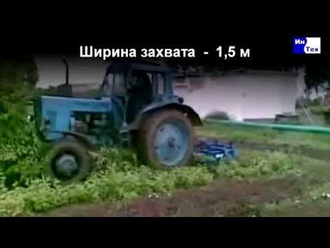 Петух схема монохромной вышивки Петух схема монохромной вышивки