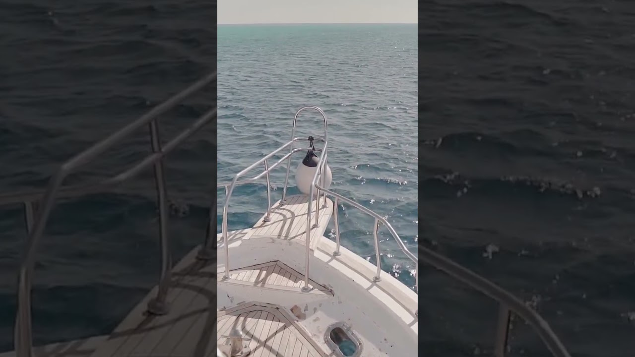 Coinderella: Deja de Esperar al Príncipe y Construye Tu Propia Carroza 🚀