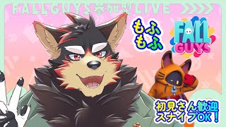 【FallGuys/フォールガイズ#243】水曜の昼にいろんなショーを楽しもう！【ジュージュー/Vtuber】#fallguys #フォールガイズ #live