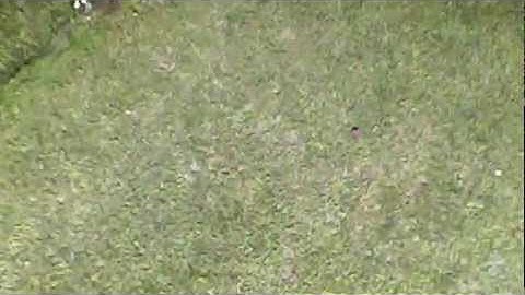 FPV Camera Dropped From Eflite Apprentice