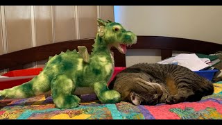 Word Study / Phonics Lesson #12 Video