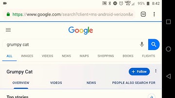 RIP Grumpy Cat 💔😭