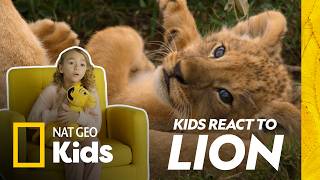 Kids React to Baby Lions 🦁 | Nat Geo Kids