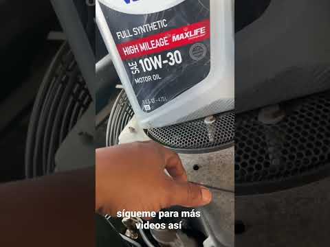 sintético aceite ya