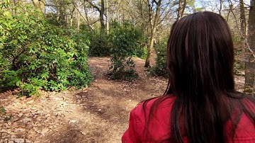 Walk in the woods - filmed on the Xiaomi Poco X3