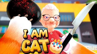 I am cat granny prank a secret prank gameplay Android ios NO VR 