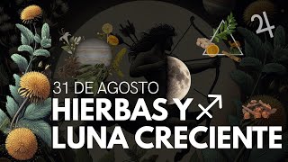 🌙 Luna Creciente en Fuego Mutable