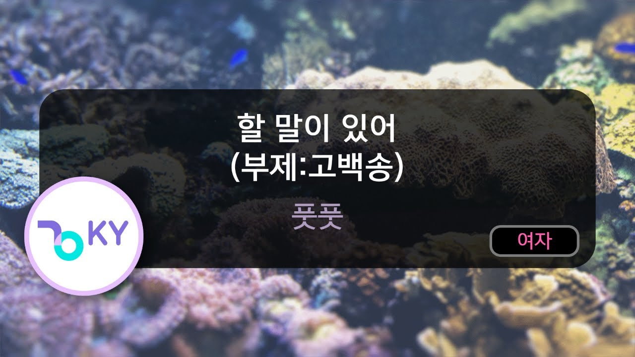 Obejrzyj 할 말이 있어 (부제:고백송) - 풋풋 (KY.88285) / KY KARAOKE w YouTube