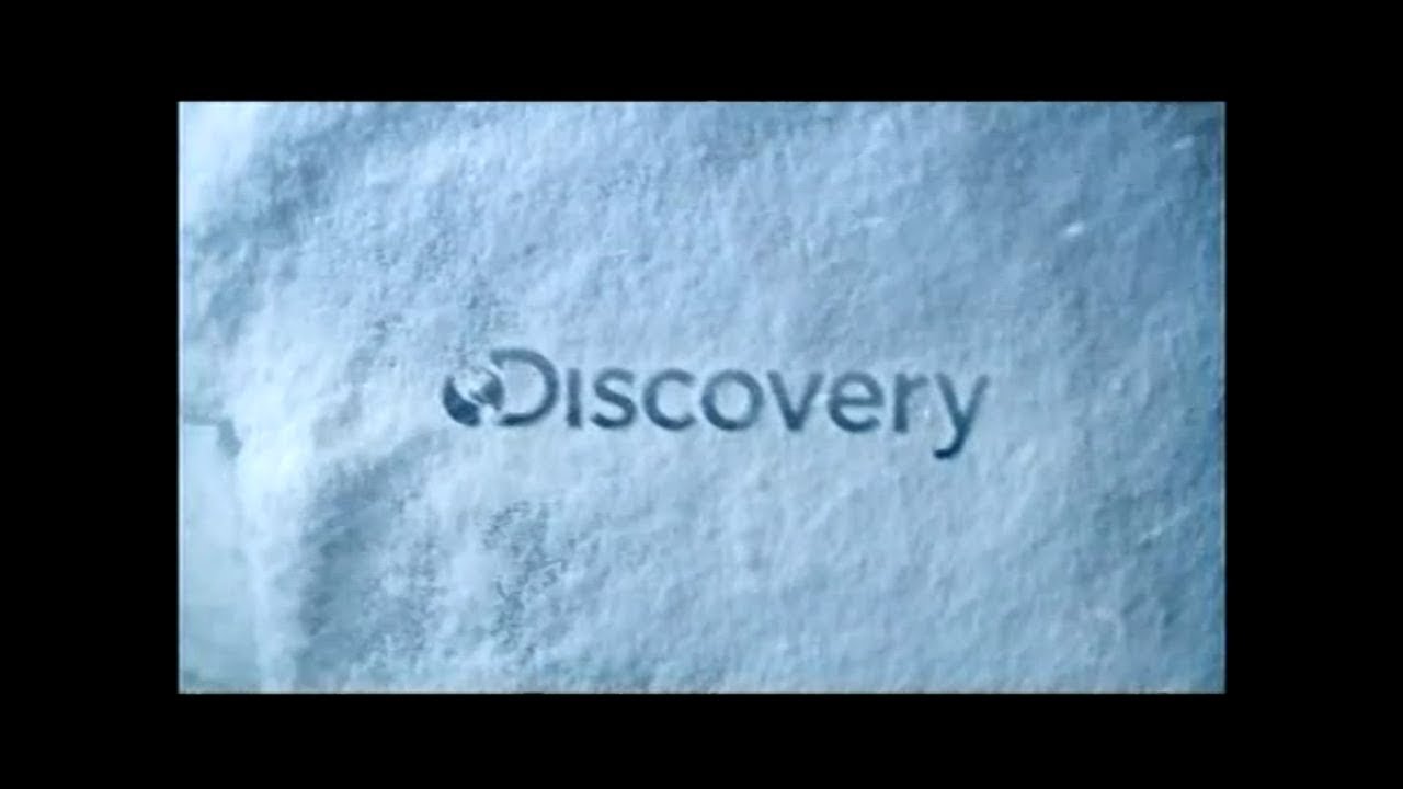 Discovery Channel Latinoamérica - Gráficas (2014-2019)