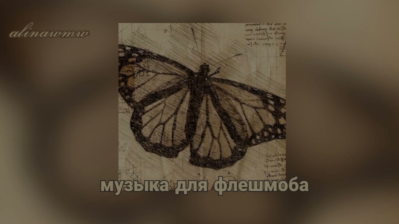 🦋 музыка для флешмоба// music for fleshmob🦋