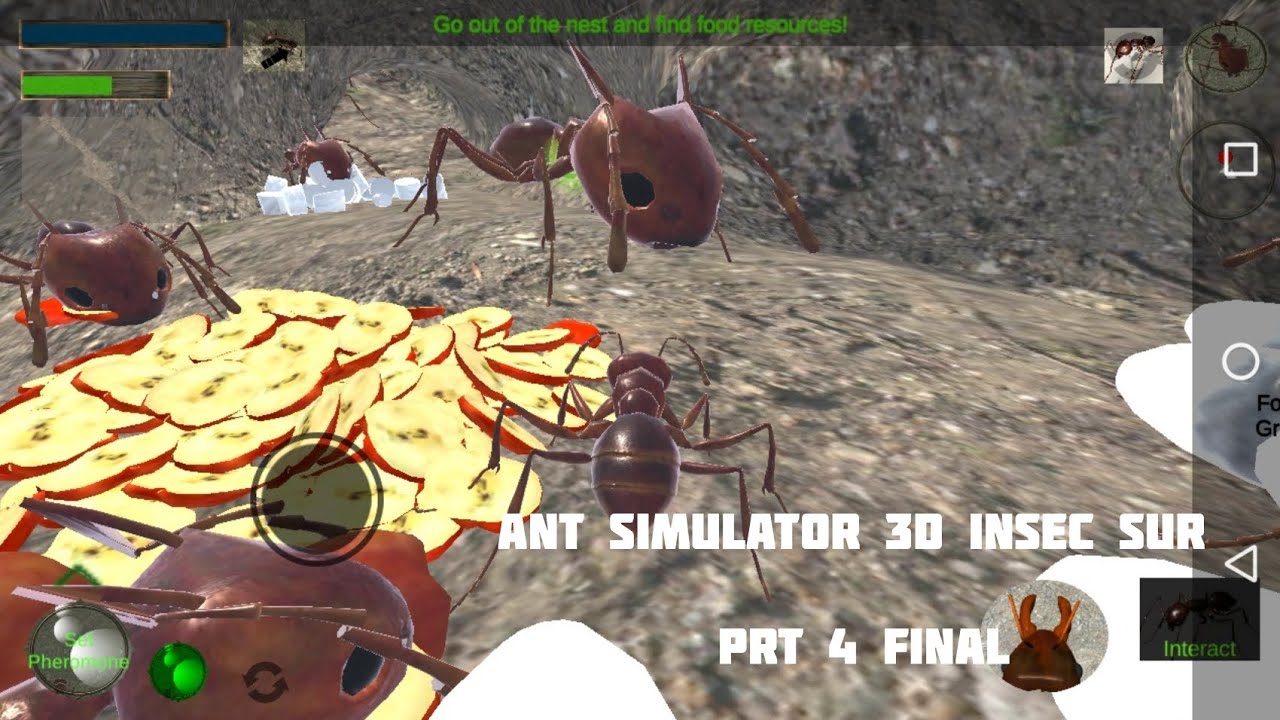 ant simulator 3d insec sur camponotus PRT 4 final