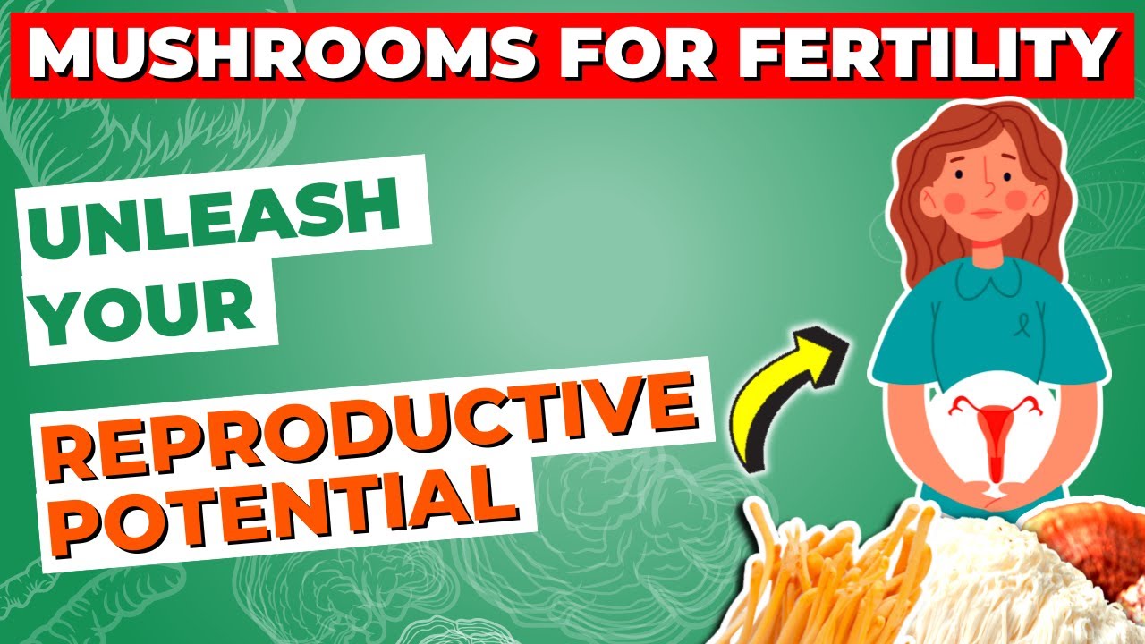 Mushrooms for Fertility Unleash Your Reproductive Potential YouTube