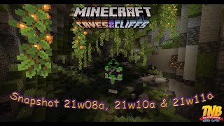 Snapshots 21w08a, 21w10a & 21w11a | Cuevas Floridas, Más Cambios De Texturas, Cobre Actualizado|