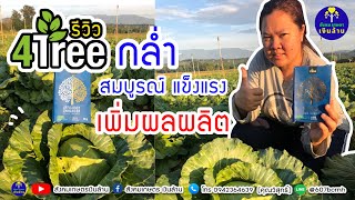 ปลูกกล่ำปลี ลดต้นทุนปุ๋ย | รีวิว 4tree จ.เชียงใหม่ | สังคมเกษตรเงินล้าน