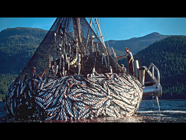 Gigantic Fishing Nets  HOW IT'S MADE 