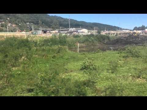 IMG 0442