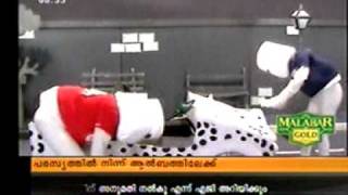 Dr.suvid Wilsons Report In Indiavision Meow