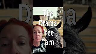 What does that mean to them? 👀 #dramafreebarn #horsebarn #horseboarding #horsekeeping #horses