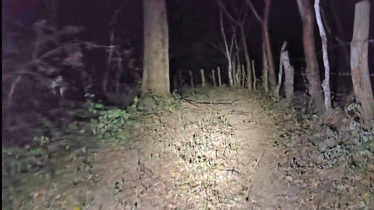 Regresé al Lugar donde se Oyó aquel Horrible Grito y la verdad Acá hay Mucho Misterio 