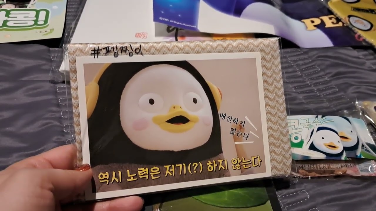 펭클럽사랑합니다 #펭수 #펭클럽 #구미 #lg드림페스티벌 #선물리뷰 