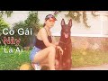 C gi n t si thnh   tnh yu vi dng ch bo v policedog nhamtuattv  dog in vietnam