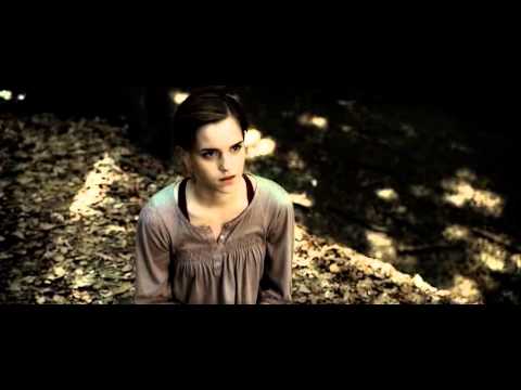 Harry & Hermione: I Can't Make You Love Me